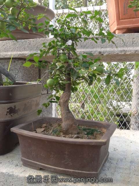 20130812_163447.jpg