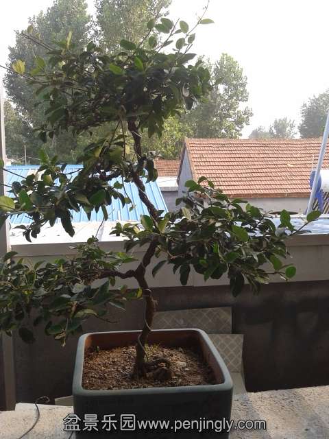 20130812_163314.jpg