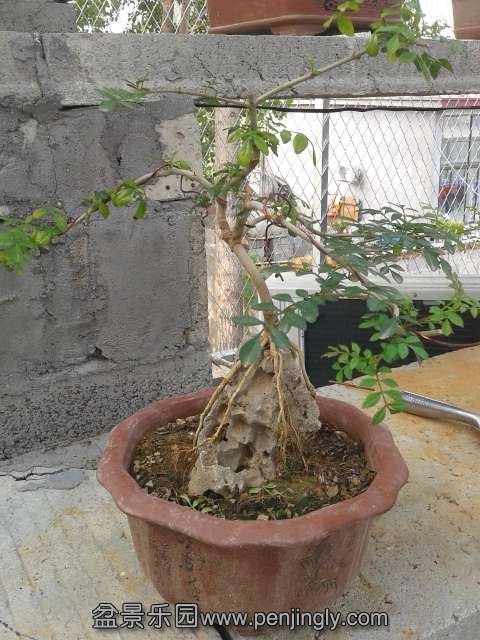 20130812_162850.jpg