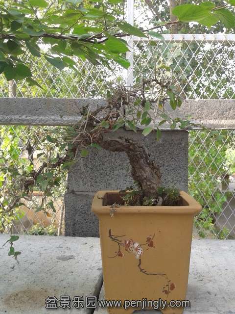 20130812_162816.jpg