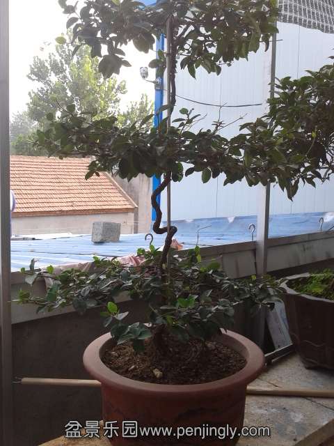 20130812_162710.jpg