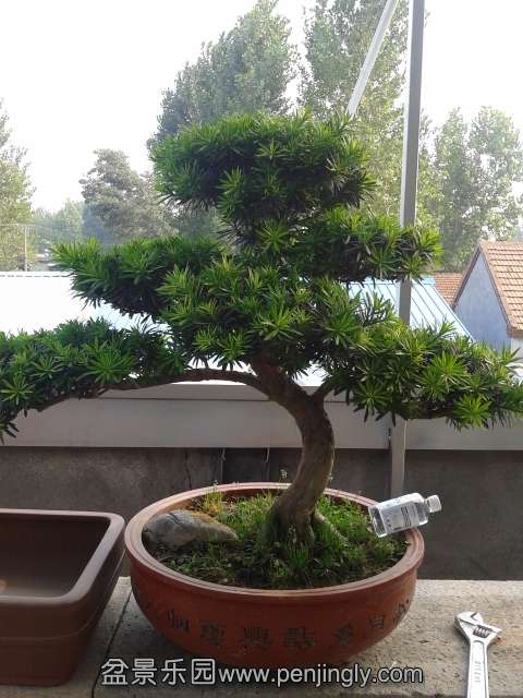20130812_162428.jpg