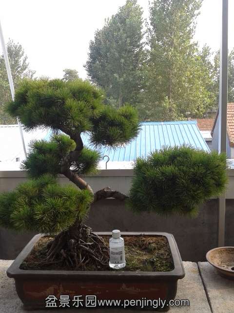 20130812_162445.jpg