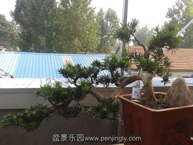 20130812_162516.jpg