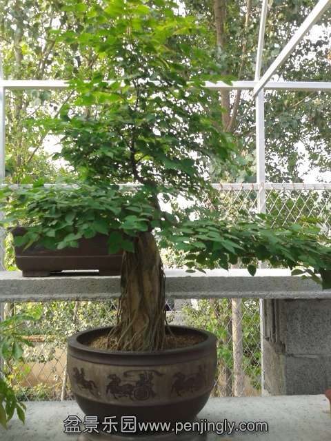 20130812_162547.jpg