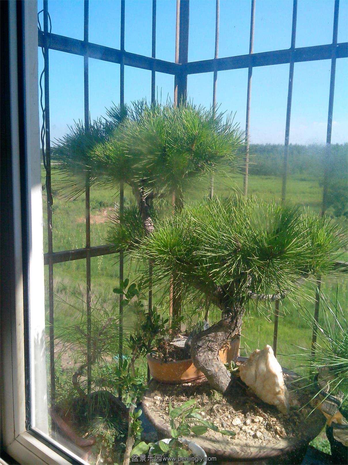 IMG20130815001.jpg