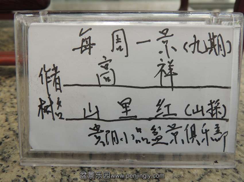 DSCN1426_.jpg