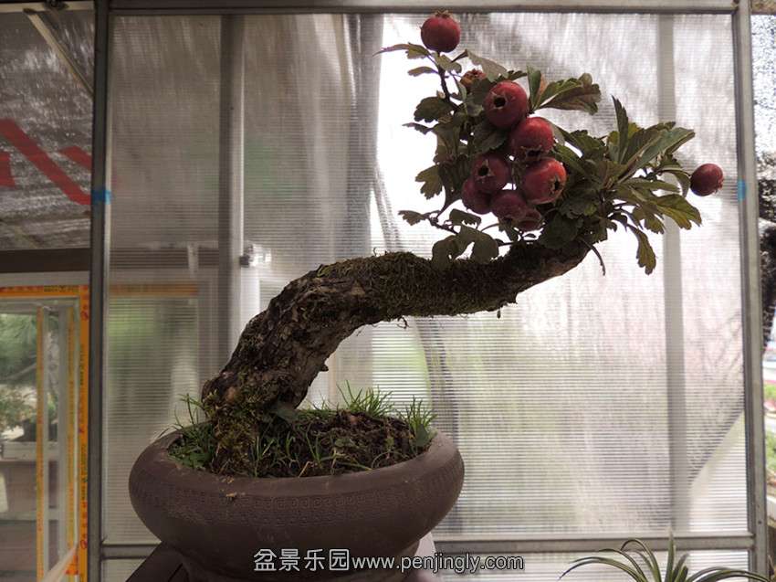 DSCN1429_.jpg