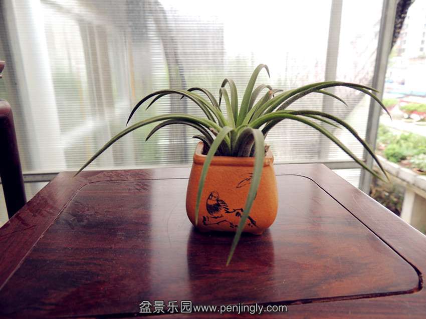 DSCN1431_.jpg