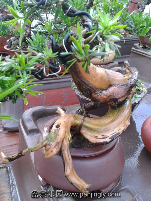 2013-08-14 18.22.46.jpg