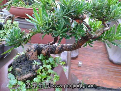 2013-08-14 18.23.19.jpg