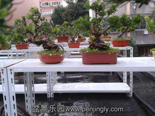 2013-08-14 18.25.34.jpg