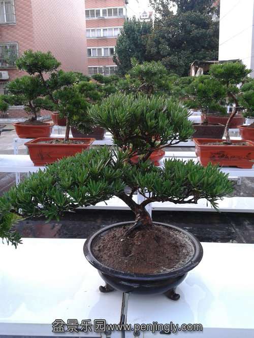 2013-08-14 18.27.01.jpg