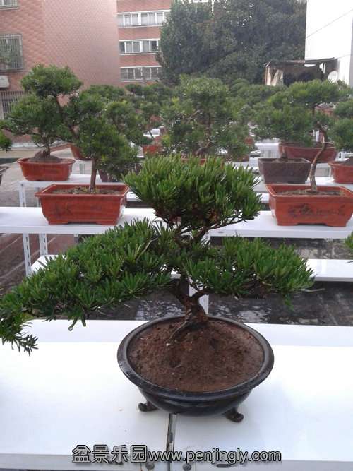 2013-08-14 18.28.59.jpg