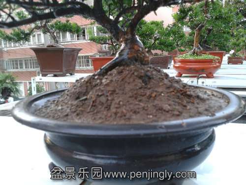 2013-08-14 18.31.26.jpg