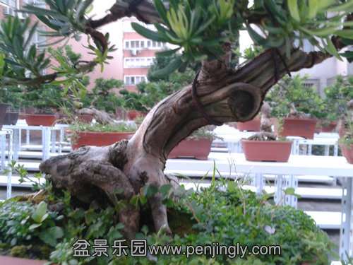 2013-08-16 18.33.02.jpg