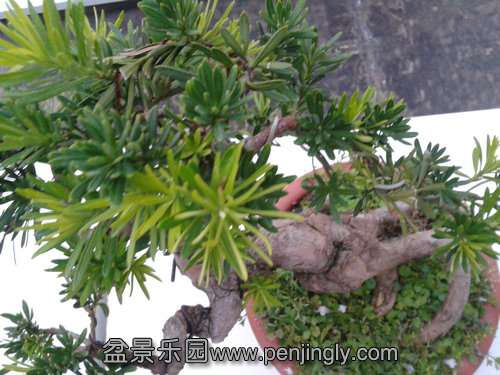 2013-08-16 18.37.13.jpg