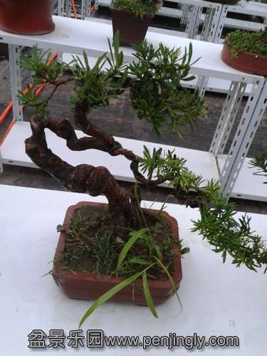 2013-08-16 18.38.06.jpg