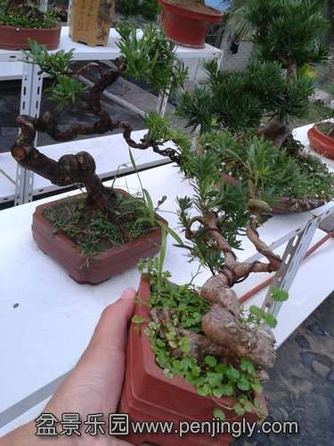 2013-08-16 18.39.06.jpg