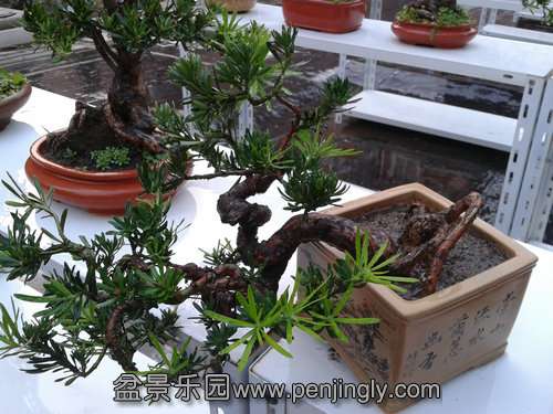 2013-08-09 18.21.17.jpg