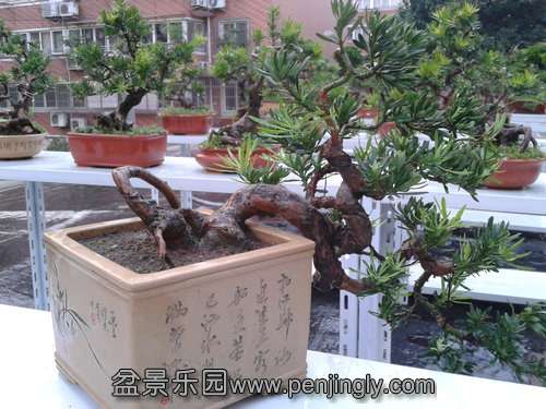 2013-08-09 18.23.25.jpg