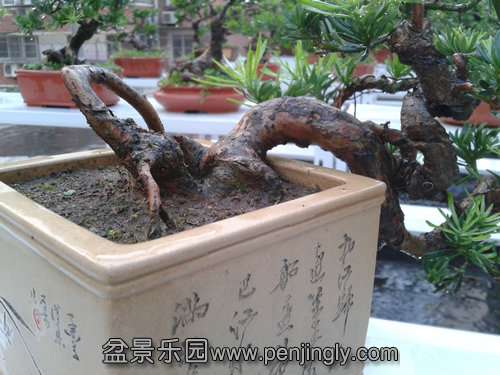 2013-08-09 18.23.46.jpg