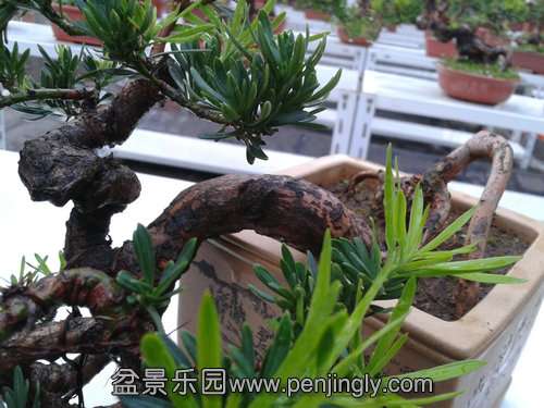 2013-08-09 18.27.38.jpg