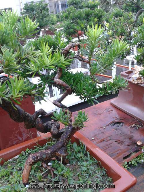 2013-08-14 18.22.20.jpg