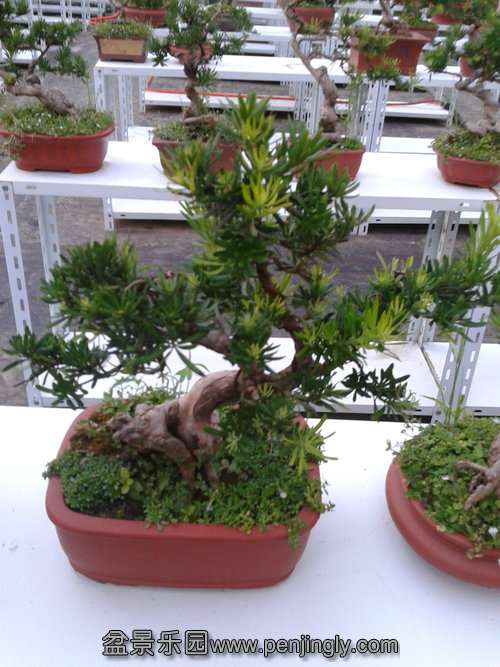 2013-08-16 18.32.21.jpg