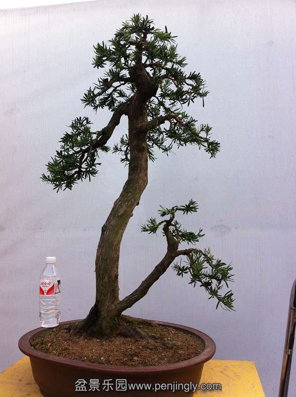 ��Ƭ 001_����.jpg