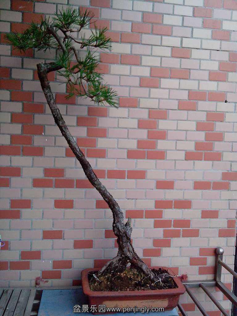 IMG_20130820_183734.jpg