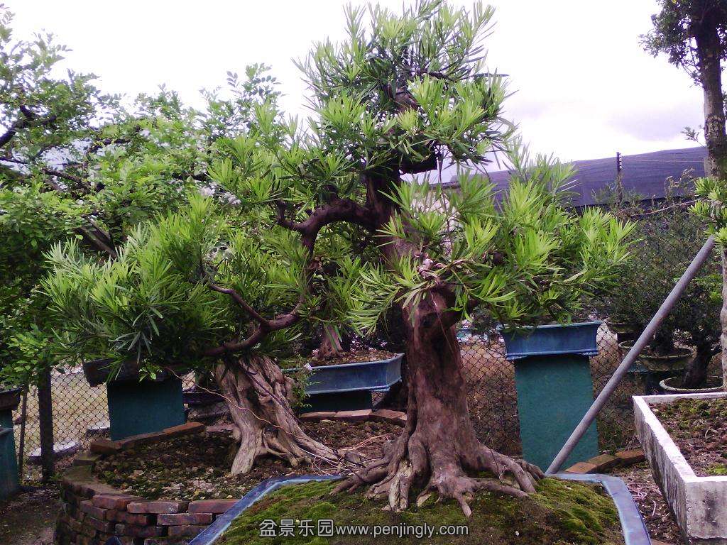 ��������2���