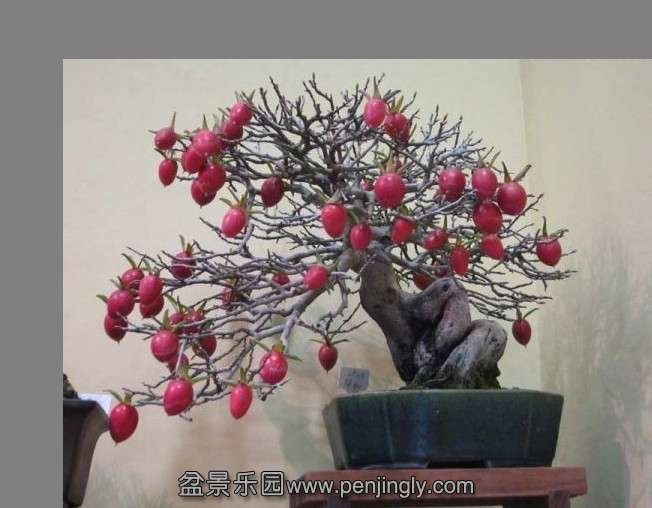 QQͼƬ20130724211917.jpg