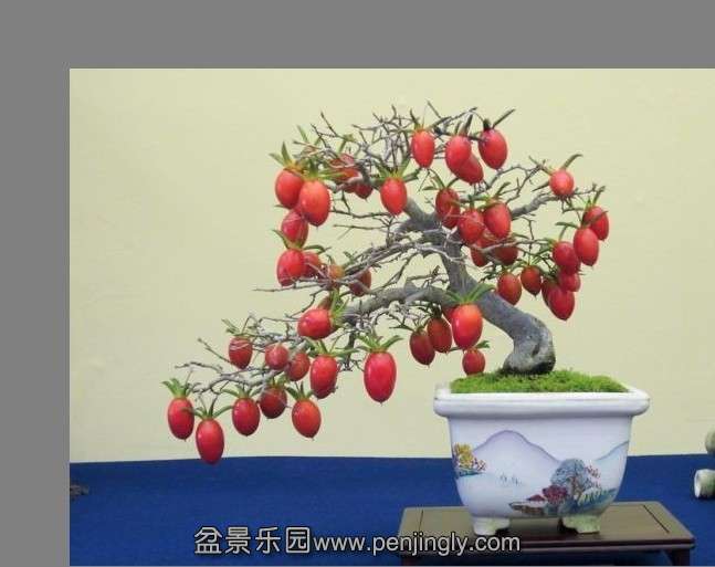 QQͼƬ20130724211438.jpg