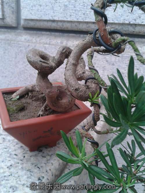 2013-08-21 17.28.38.jpg