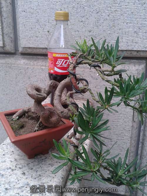 2013-08-21 17.31.09.jpg