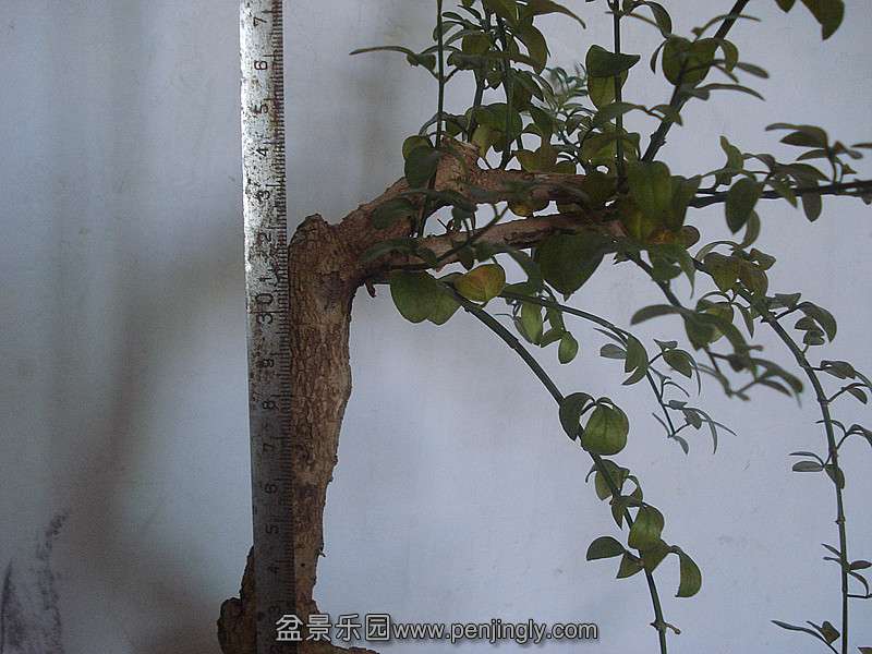 DSC05973_.jpg