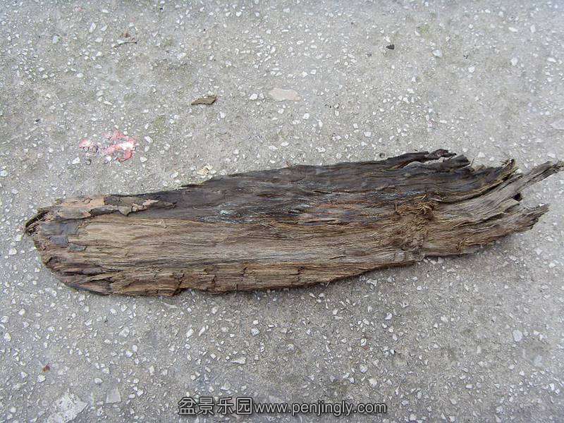 SDC12650_.jpg