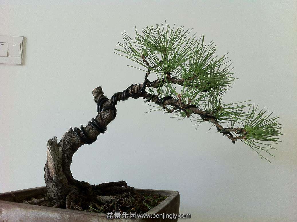 20130823 006.jpg
