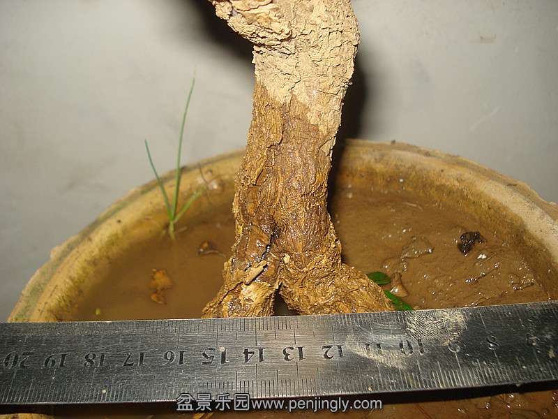 DSC06009_.jpg