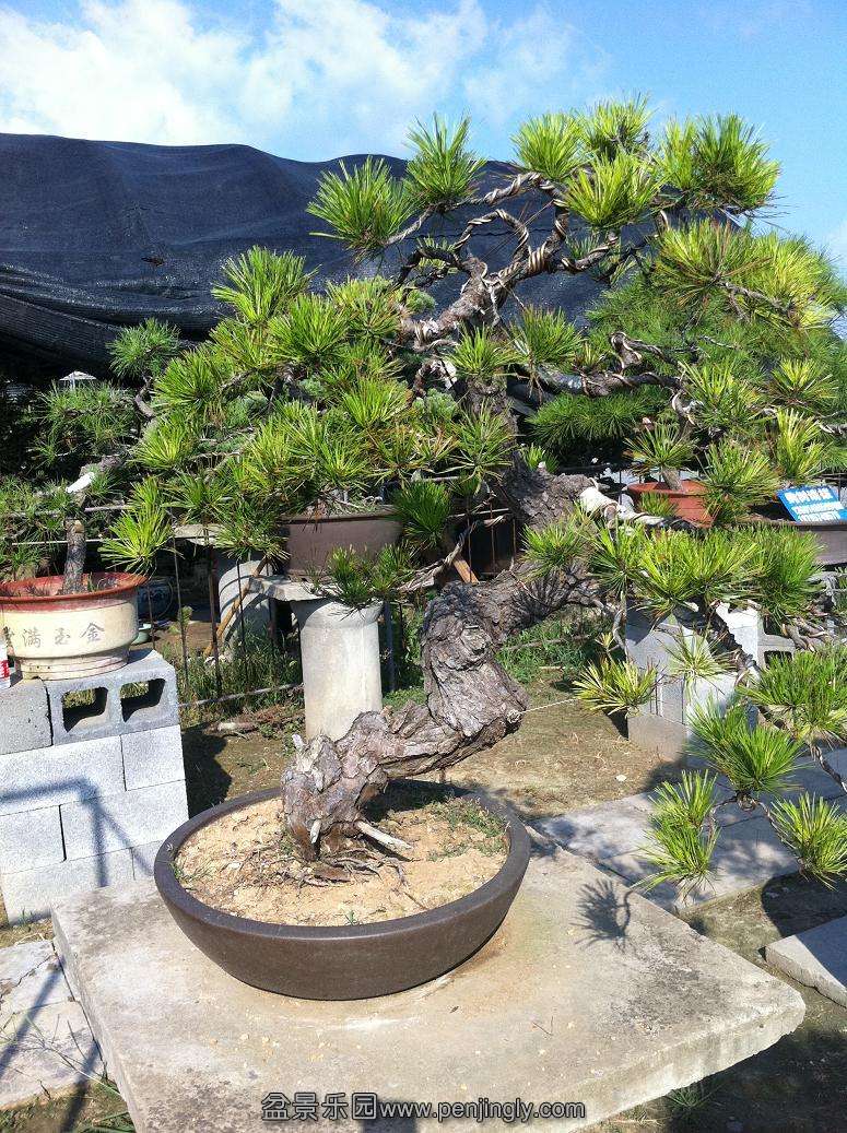 20130824���� 001.jpg