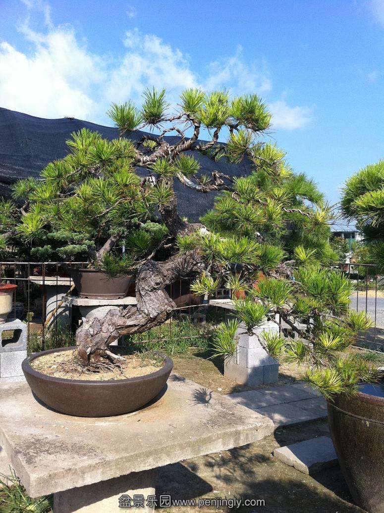 20130824���� 002.jpg