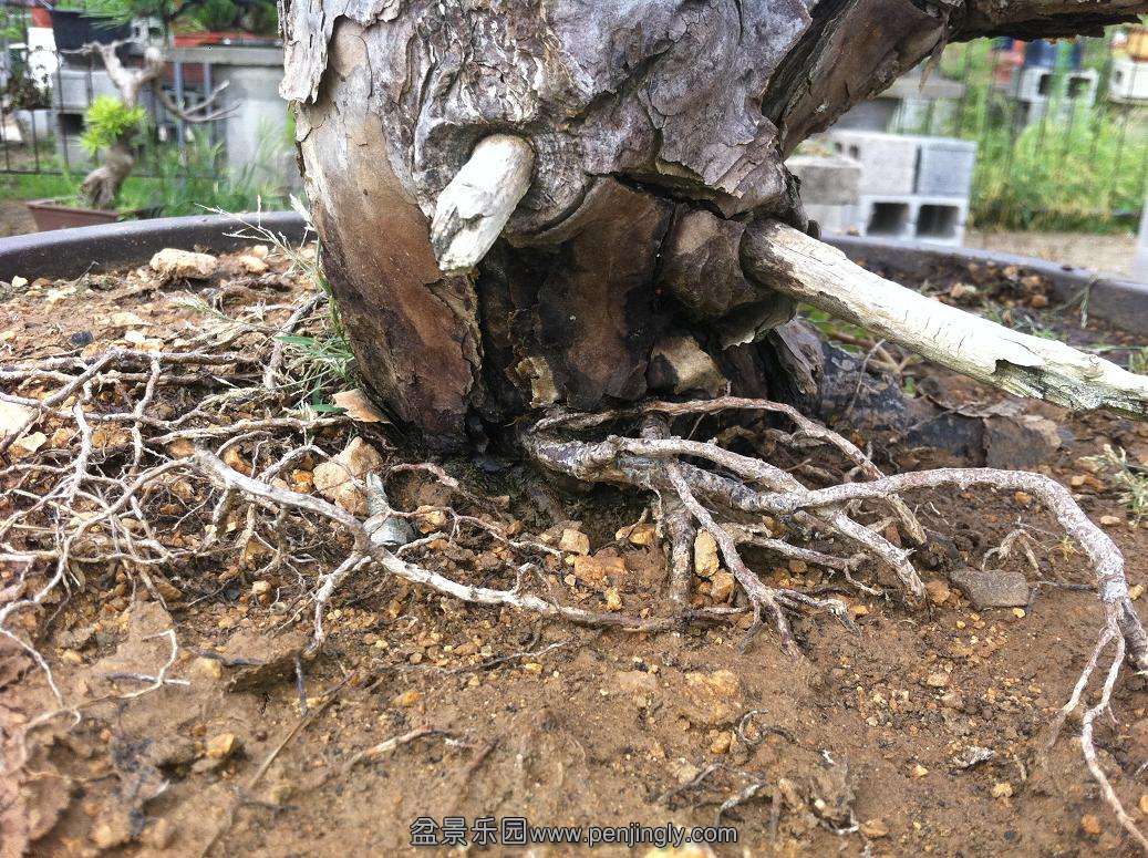 20130824���� 003.jpg