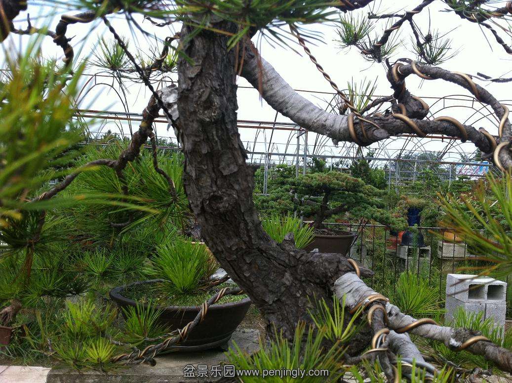 20130824���� 005.jpg