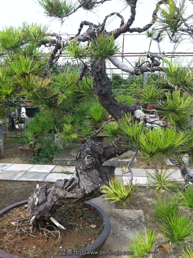 20130824���� 007.jpg