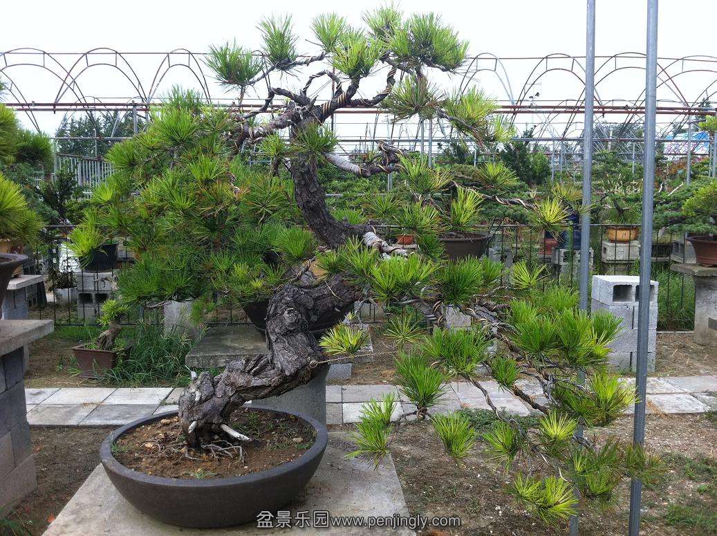 20130824���� 008.jpg