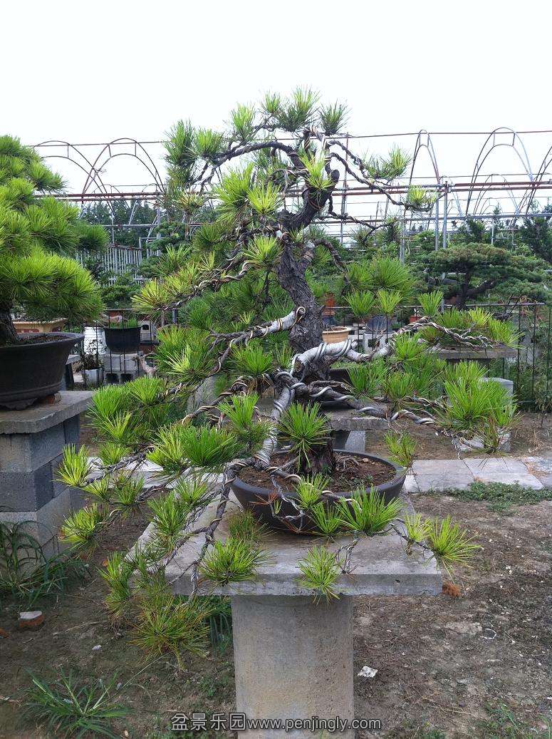 20130824���� 009.jpg