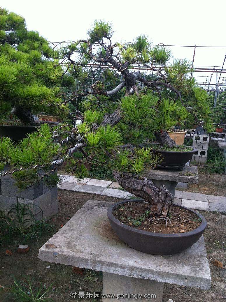 20130824���� 010.jpg