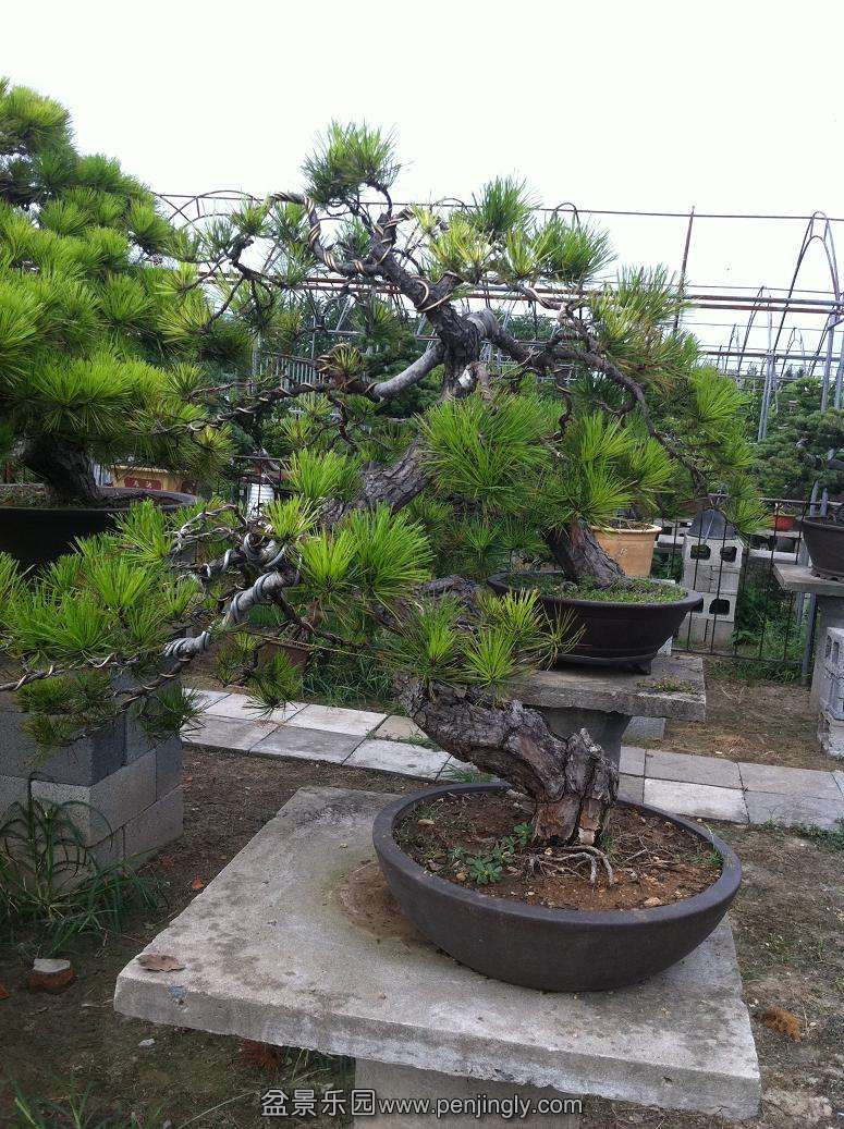 20130824���� 011.jpg