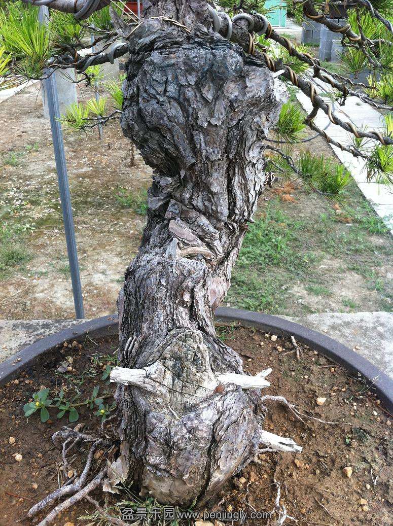 20130824���� 012.jpg